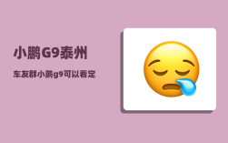 小鹏G9泰州车友群_小鹏g9可以看定位吗