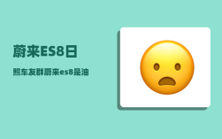 蔚来ES8日照车友群_蔚来es8是油电混合吗