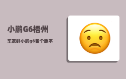 小鹏G6梧州车友群_小鹏g6各个版本配置