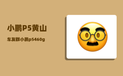 小鹏P5黄山车友群_小鹏p5460g