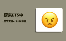 蔚来ET5中卫车友群_et5小屏幕显示的信息能调吗