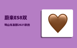 蔚来ES8双鸭山车友群_2021款的特点