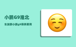 小鹏G9淮北车友群_小鹏g9保养费用