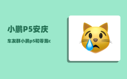 小鹏P5安庆车友群_小鹏p5和零跑c01哪个好