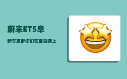 蔚来ET5阜新车友群_你们在自驾游上花了多少钱