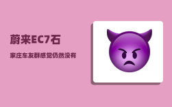 蔚来EC7石家庄车友群_感觉仍然没有发展出真正的民族品牌