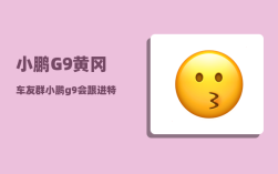小鹏G9黄冈车友群_小鹏g9会跟进特斯拉继续降价吗