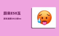 蔚来ES8玉溪车友群_2022款es8和2023款的区别