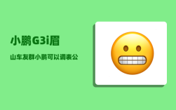 小鹏G3i眉山车友群_小鹏可以调表公里数吗