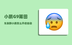 小鹏G9莆田车友群_小鹏怎么开启自动驾驶