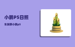 小鹏P5日照车友群_小鹏p5