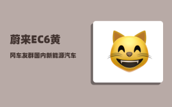 蔚来EC6黄冈车友群_国内新能源汽车有哪些品牌