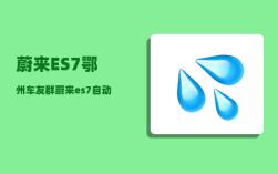 蔚来ES7鄂州车友群_蔚来es7自动驾驶会超车吗