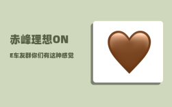 赤峰理想ONE车友群_你们有这种感觉吗