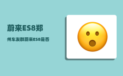 蔚来ES8郑州车友群_蔚来ES8是否是个合格的挑战者