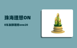珠海理想ONE车友群_理想one2023年还值得买吗