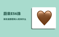 蔚来ES6珠海车友群_蔚来人机叫什么