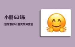 小鹏G3i东营车友群_小鹏汽车异常震动