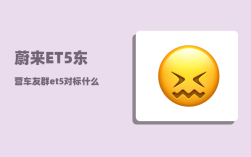 蔚来ET5东营车友群_et5对标什么车型