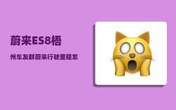 蔚来ES8梧州车友群_蔚来行驶里程怎么看