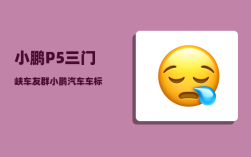 小鹏P5三门峡车友群_小鹏汽车车标