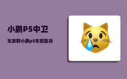 小鹏P5中卫车友群_小鹏p5车钥匙功能介绍
