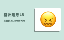 柳州理想L8车友群_2022年柳州市春季开学时间