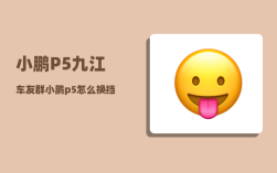 小鹏P5九江车友群_小鹏p5怎么换挡