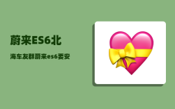 蔚来ES6北海车友群_蔚来es6要安装防虫网吗