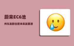 蔚来EC6池州车友群_合肥未来发展潜力有多大