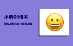 小鹏G6佳木斯车友群_在哈尔滨税后年薪10万