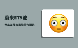 蔚来ET5池州车友群_大家觉得合肥这个城市怎么样