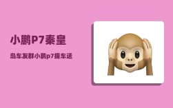 小鹏P7秦皇岛车友群_小鹏p7提车送什么