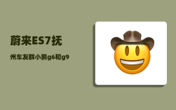 蔚来ES7抚州车友群_小鹏g6和g9哪个好