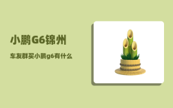 小鹏G6锦州车友群_买小鹏g6有什么赠品