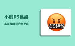 小鹏P5吕梁车友群_p5适合新手吗