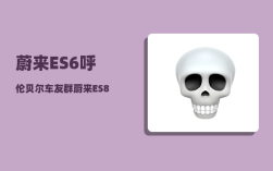 蔚来ES6呼伦贝尔车友群_蔚来ES8卖不动了吗