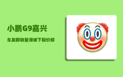 小鹏G9嘉兴车友群_销量滑坡下股价却暴涨47