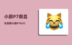 小鹏P7南昌车友群_小鹏P7iLCC怎么使用