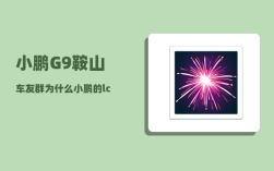 小鹏G9鞍山车友群_为什么小鹏的lcc不能用