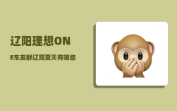 辽阳理想ONE车友群_辽阳夏天有哪些玩的地方