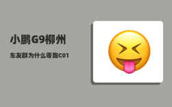 小鹏G9柳州车友群_为什么零跑C01能和小鹏G9拉开如此大距离
