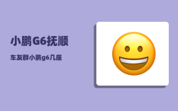 小鹏G6抚顺车友群_小鹏g6几座