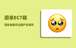 蔚来EC7朝阳车友群_开过国产车再开合资车