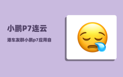 小鹏P7连云港车友群_小鹏p7应用自启哪里设置
