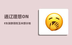 通辽理想ONE车友群_现在玉米部分地区有所上涨