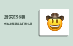 蔚来ES6锦州车友群_蔚来车门怎么开