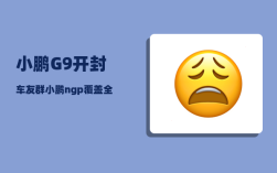 小鹏G9开封车友群_小鹏ngp覆盖全国高速吗
