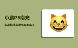 小鹏P5南充车友群_油车换电车的车主