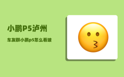 小鹏P5泸州车友群_小鹏p5怎么看玻璃水还有多少
